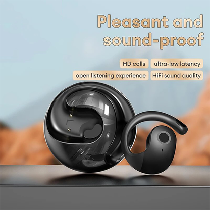 AIRMARS HY-T26 Ear-Hook Earbuds